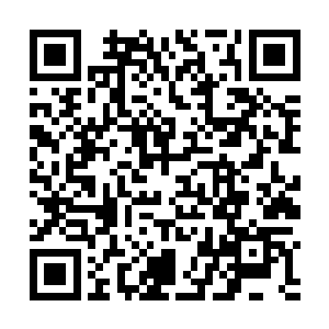 可是那唯唯诺诺的五夫人有那么大的胆子剪掉人的手指二维码生成