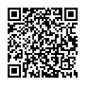 可是那弯刀似乎死死的卡在那个干尸的胸膛里面二维码生成