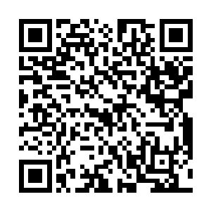 可是那种平静的可怕的表情却让白淑倩不由得楞了一下二维码生成