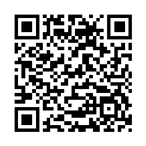 可是阿尔法并无法对他产生一丝一毫的同情二维码生成