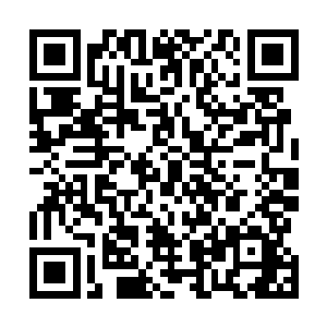 可是雷欢喜却从这咆哮中清楚的听到了它们的每一句对话二维码生成