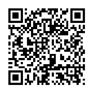 可是骨子里仍是那个足以睥睨天下的威武大将军啊二维码生成