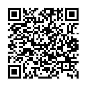 可是魏破天那难得一见畏首畏尾的模样真太好玩了二维码生成