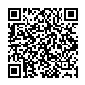 可是龙傲天却发现在这个角落的地方竟然没有一个禁制二维码生成