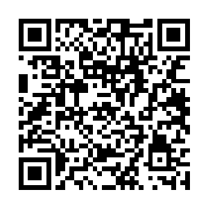 可是龙神说过在这个大陆上只有他一个神龙的存在二维码生成