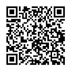 可暗地里谁又知道他们派了谁过来假做买卖人占便宜二维码生成