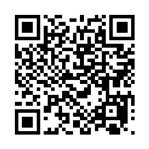 可最不起眼的乌贼都比你的胆子大一万倍二维码生成