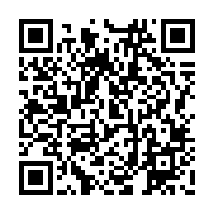 可最后他们却还是没能轰碎或者逼退那五色光手二维码生成