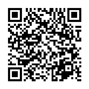 可有些实力却始终都潜伏在暗地里的……这才能叫做底蕴二维码生成