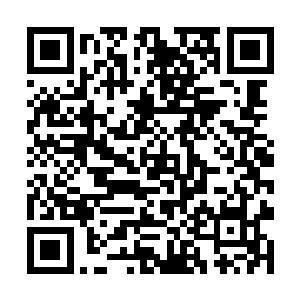 可杨洛却让他们把过千万的高档家具扔了或者卖破烂二维码生成