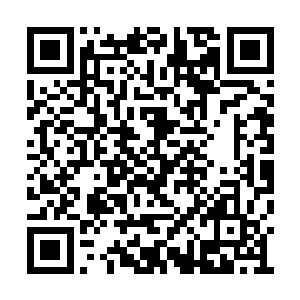 可此时小王八正处于一种由死转生的奇妙过程中二维码生成