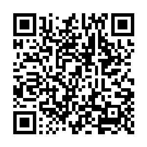 可每一个在昆仑界都算的傻瓜是万中无一的翘楚二维码生成