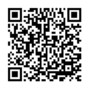可每个人都清楚地看到阿牛脸上洋溢起了一抹兴奋愉悦的笑容二维码生成