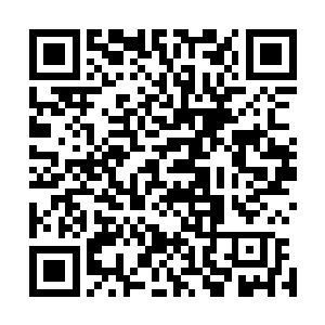 可江家那老婆子要我们把拍卖画稿的银子分一半给他们不算二维码生成