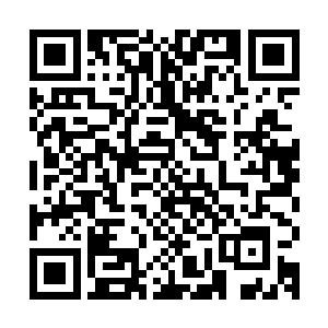 可法律并不会因为他们知道错了就当做什么都没发生过放了他们二维码生成
