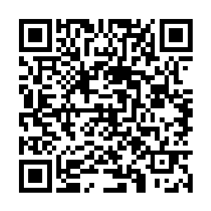 可现在……她回头看了一眼已经转身进去的云翎萱二维码生成