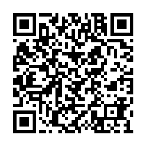 可现在光是密林入口处的门头招牌就气势大多了二维码生成
