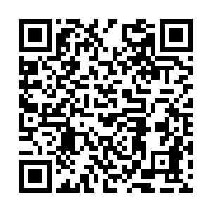 可现在孟养兵穿上了从莽应里军中缴获的犀牛皮甲二维码生成
