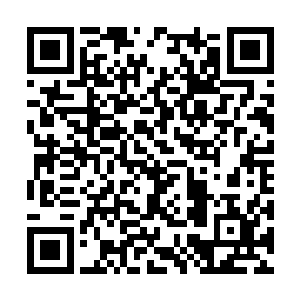 可现在对方居然直接上来就给了他两个这样的选择二维码生成