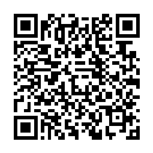 可现在张东城那一脸无所谓的表情算是怎么回事儿二维码生成