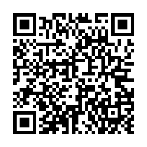 可现在眼前这种三人合抱这么大的蚯蚓不要说见了二维码生成