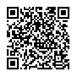 可现在这头如同白虎一样的凶兽只是站在那里暴动一股力量二维码生成