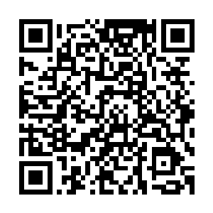可现在除了相信雷欢喜的话还有什么办法能够挽救自己的印章二维码生成