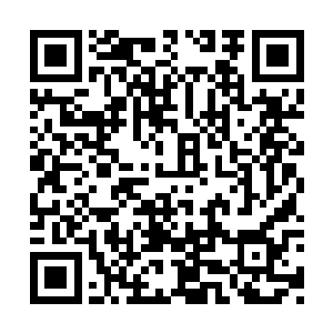 可现在韩风能够在圣域强者内的领域中行动自如二维码生成
