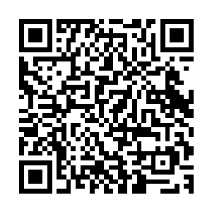可现如今炼制黄金巨龙的居然三天三夜都只是看到了一丝雏形二维码生成