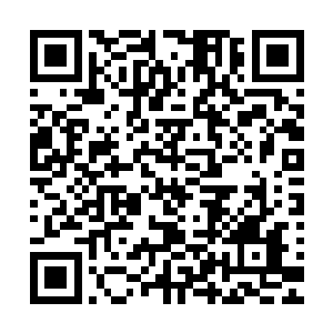 可现实的社会中从没有哪个半步神通者会跳出来充当国民英雄二维码生成