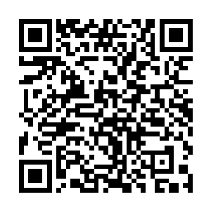 可盖亚的实力却强大到了足以承受这剧烈反噬的程度二维码生成