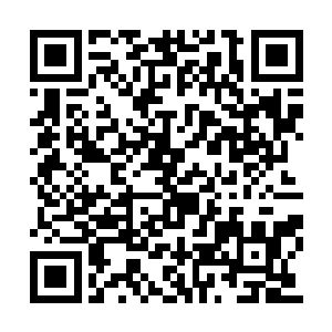 可看看两个丫头不过十三四岁就要做侍候人的活二维码生成