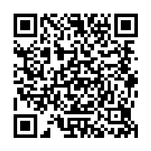 可看胡莲的表情却像是这个词属于大家都应该明白的词语二维码生成