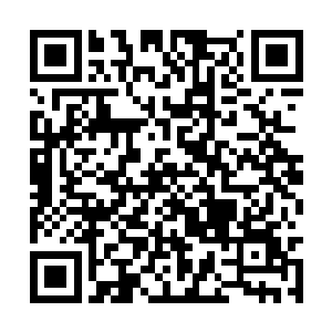 可看见杨洛脸上越来越灿烂的笑容突然打了个冷战二维码生成