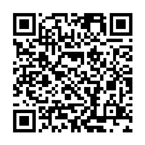 可眼前真切的景象无一不在诉说着它们的真实和美丽二维码生成