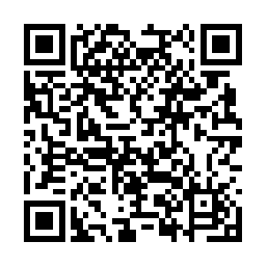 可眼前竟然出现了一个境界达到混元圣人的灵魂体二维码生成
