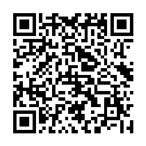 可眼前这个女魔头跟新武评天下第二拓跋菩萨斗过二维码生成