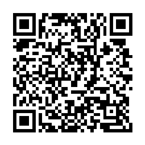 可眼前这些人的样子看起来似乎还什么都不知道二维码生成