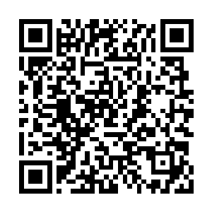 可知张辽乃是鬼神马羲麾下无需置疑的第一大将二维码生成