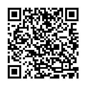 可秦云峥的大手笔仍然是宾馆工作人员首次看见二维码生成