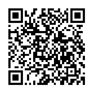 可稍微有点脑子的人根本就不相信蓝家姐妹会和这件事情无关二维码生成