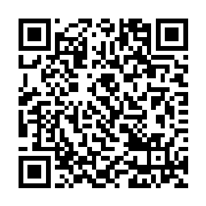 可穿在苏媛媛的身上却完美地将她的身材诠释了出来二维码生成