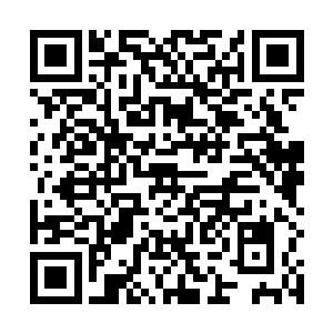 可穿沙甲一族的鳞片和骨骸在和污染沙接触很长时间后二维码生成