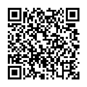 可笑的是本宫竟然一直以来被人这么耍还浑然不知二维码生成