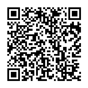 可笑那个平时很臭屁的展云间还以为对我们雷极宗的天才很了解了二维码生成