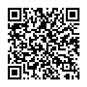 可等到他从一万多跟石柱穿梭完也没有发现任何有用的线索二维码生成