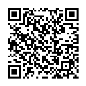 可等到才说了几句正经言语的徐凤年露出狐狸尾巴二维码生成