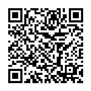 可算是解放了……晚上乔振飞他们几个倒是没有出现二维码生成