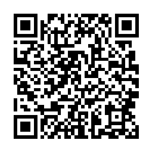 可结果他发现自己的实力在这神兽的面前实在是太弱小了二维码生成