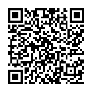 可绝对能过刺中对方的身躯……而他狂暴的力量二维码生成